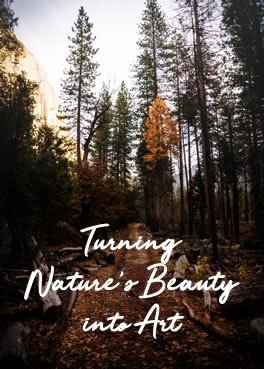 Turning Nature's Beauty into Art